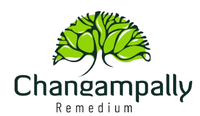Chengampally Logo